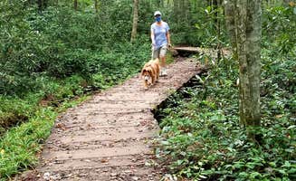 Randall B.'s photo of camping with pets at Panthertown Valley Backcountry Area near Cashiers, NC