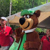 Review photo of Yogi Bear's Jellystone Park Camp-Resort Yogi Bear in the Smokies by Shellie M., May 20, 2018