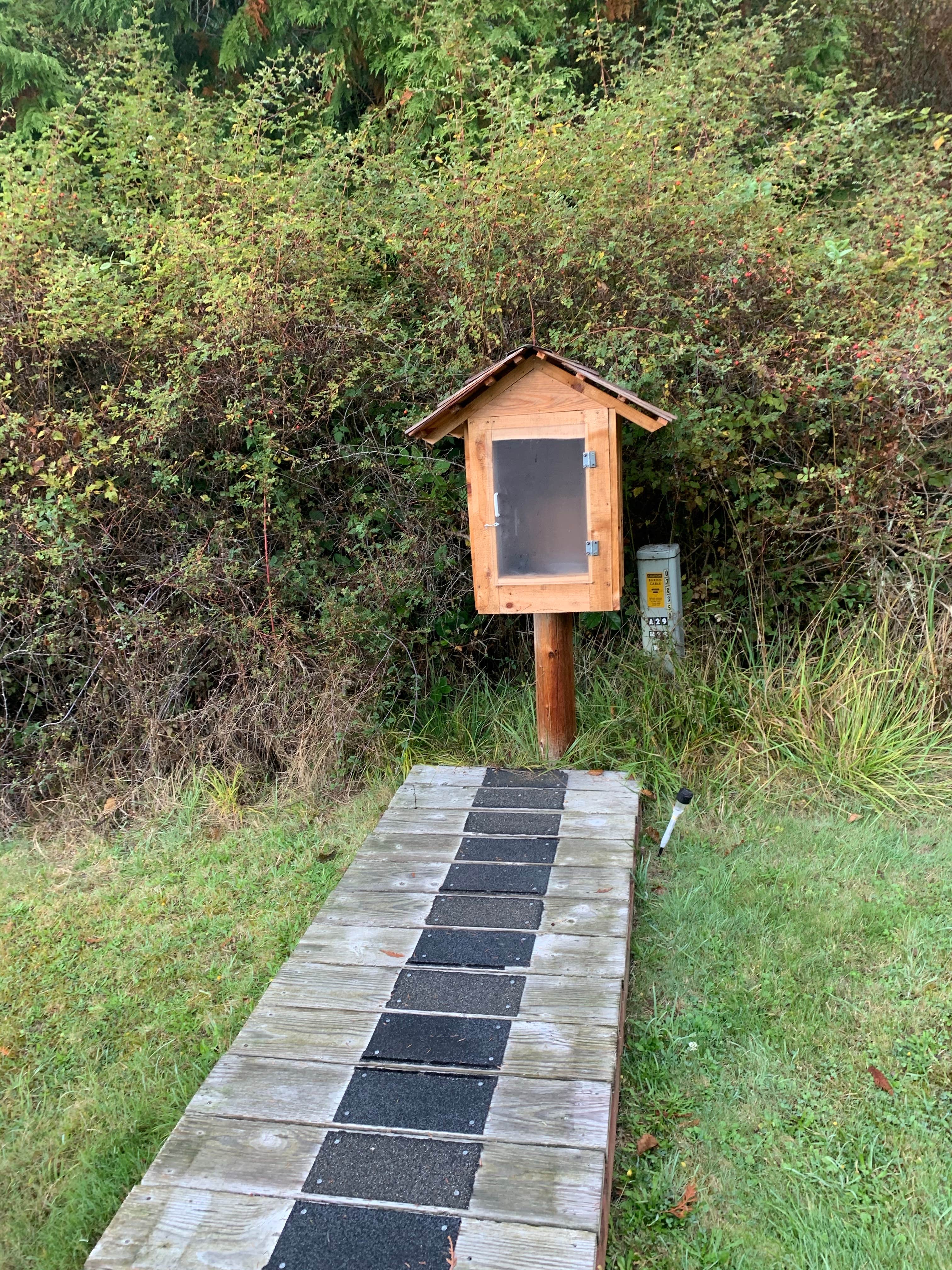 Camper-submitted photo at Odlin County Park Camping - Lopez Island near Anacortes, WA