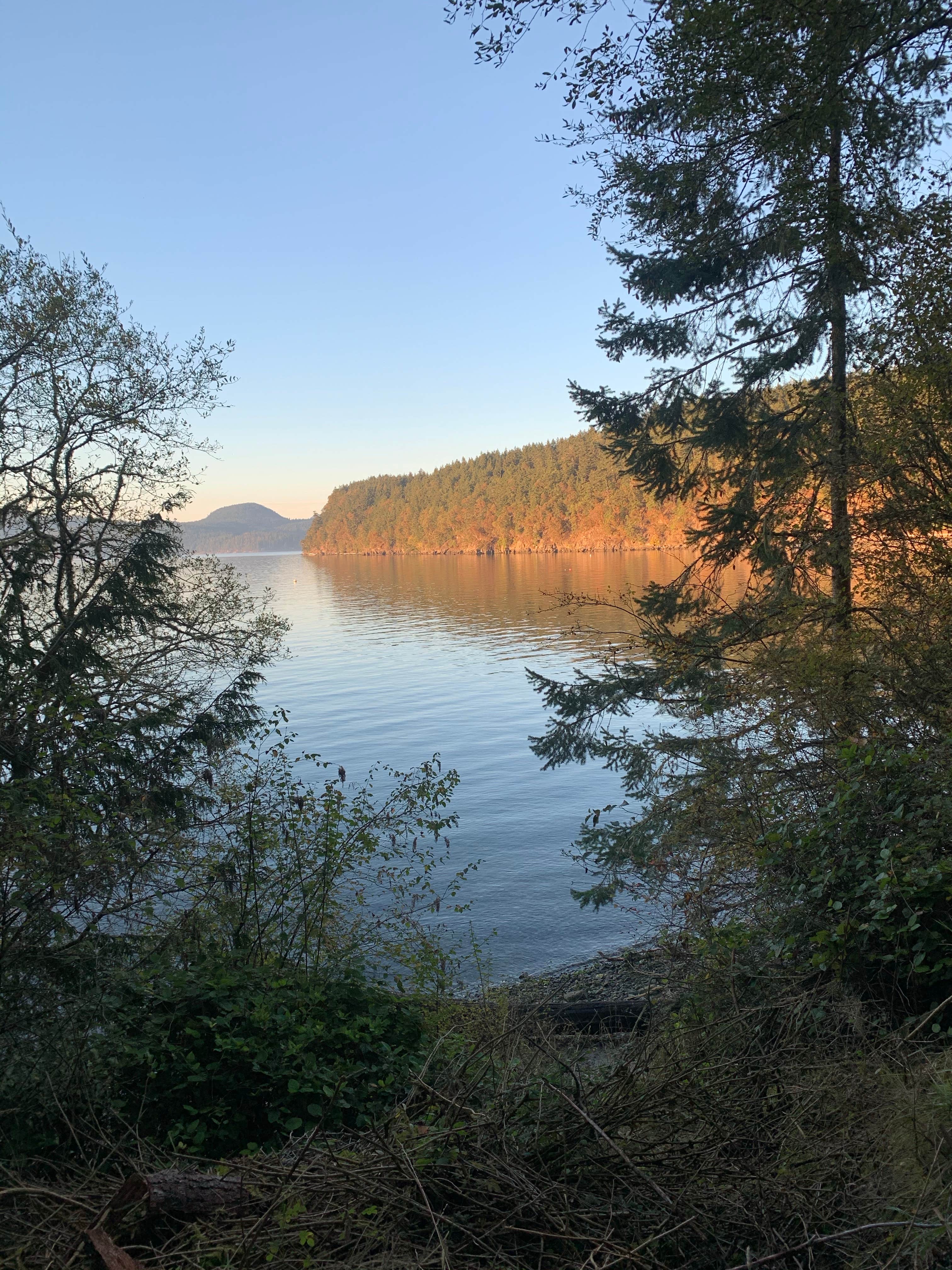 Camper-submitted photo at Odlin County Park Camping - Lopez Island near Lopez Island, WA
