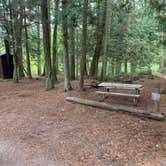 Review photo of Odlin County Park Camping - Lopez Island by Neil T., October 7, 2020