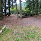 Review photo of Odlin County Park Camping - Lopez Island by Neil T., October 7, 2020