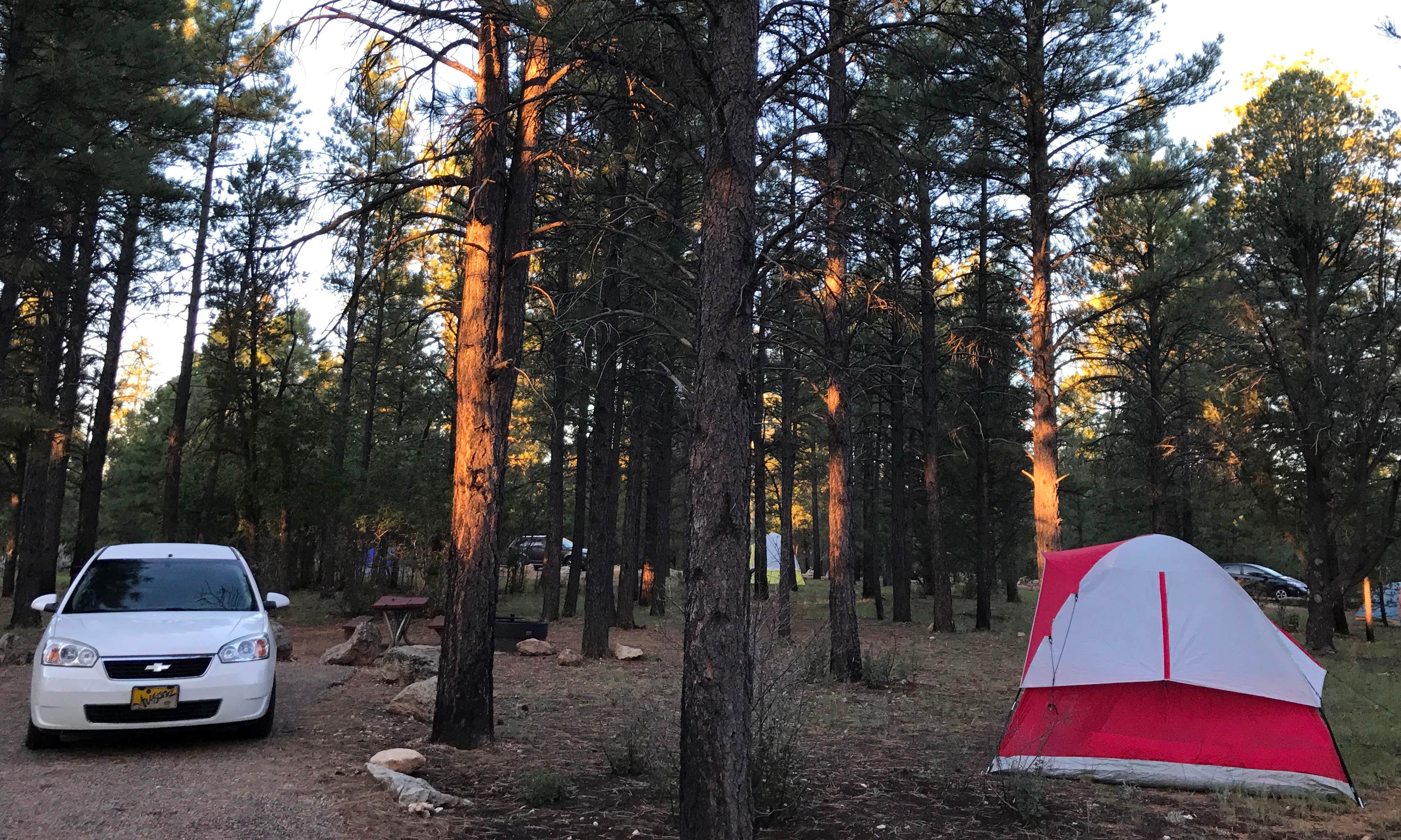 Camper submitted image from Tusayan-Montane — Grand Canyon National Park - 3