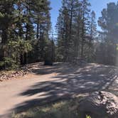 Review photo of Mueller State Park Campground by Amanda M., October 7, 2020