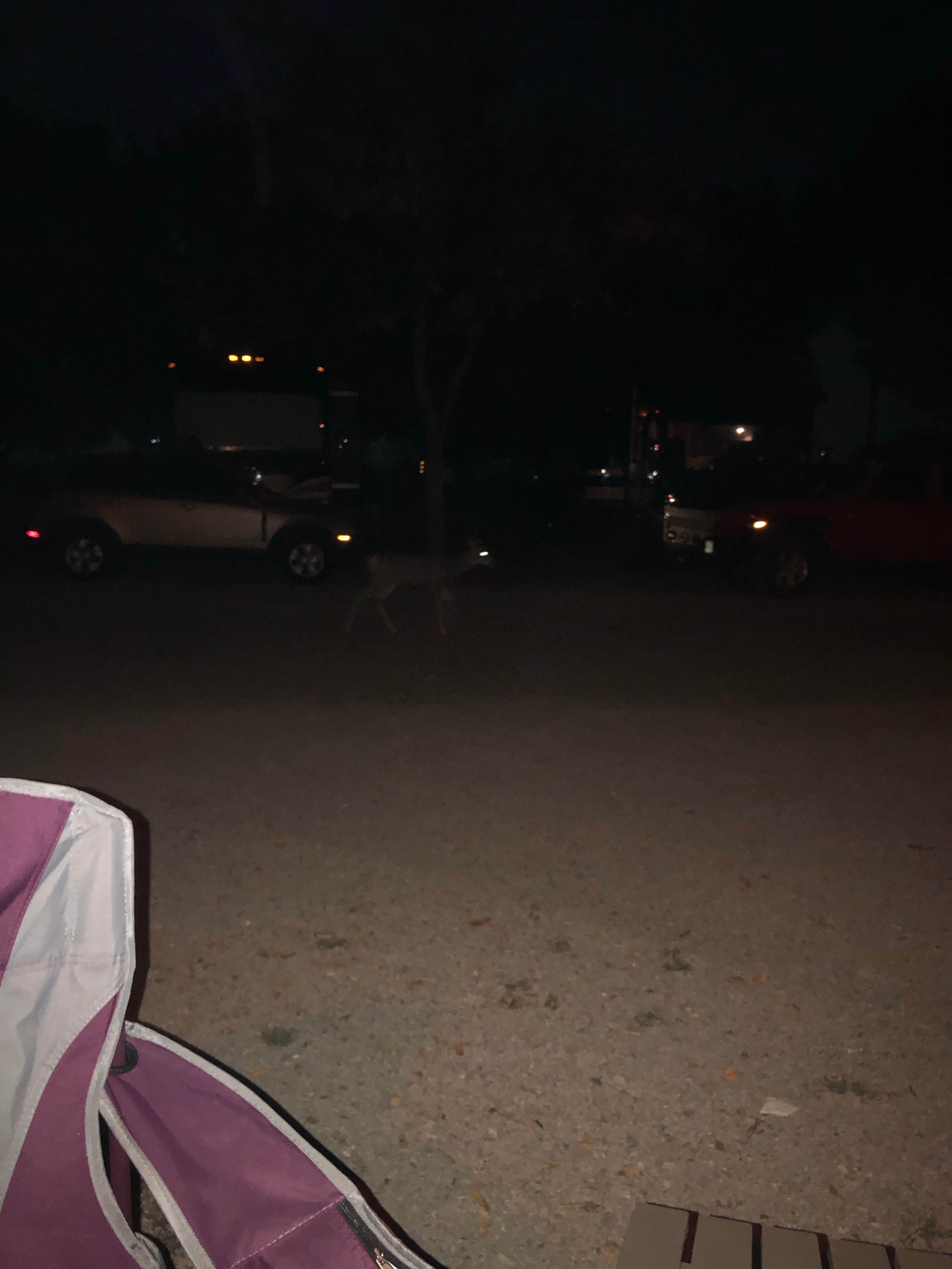 Camper submitted image from Westerner RV Park Campground - 2