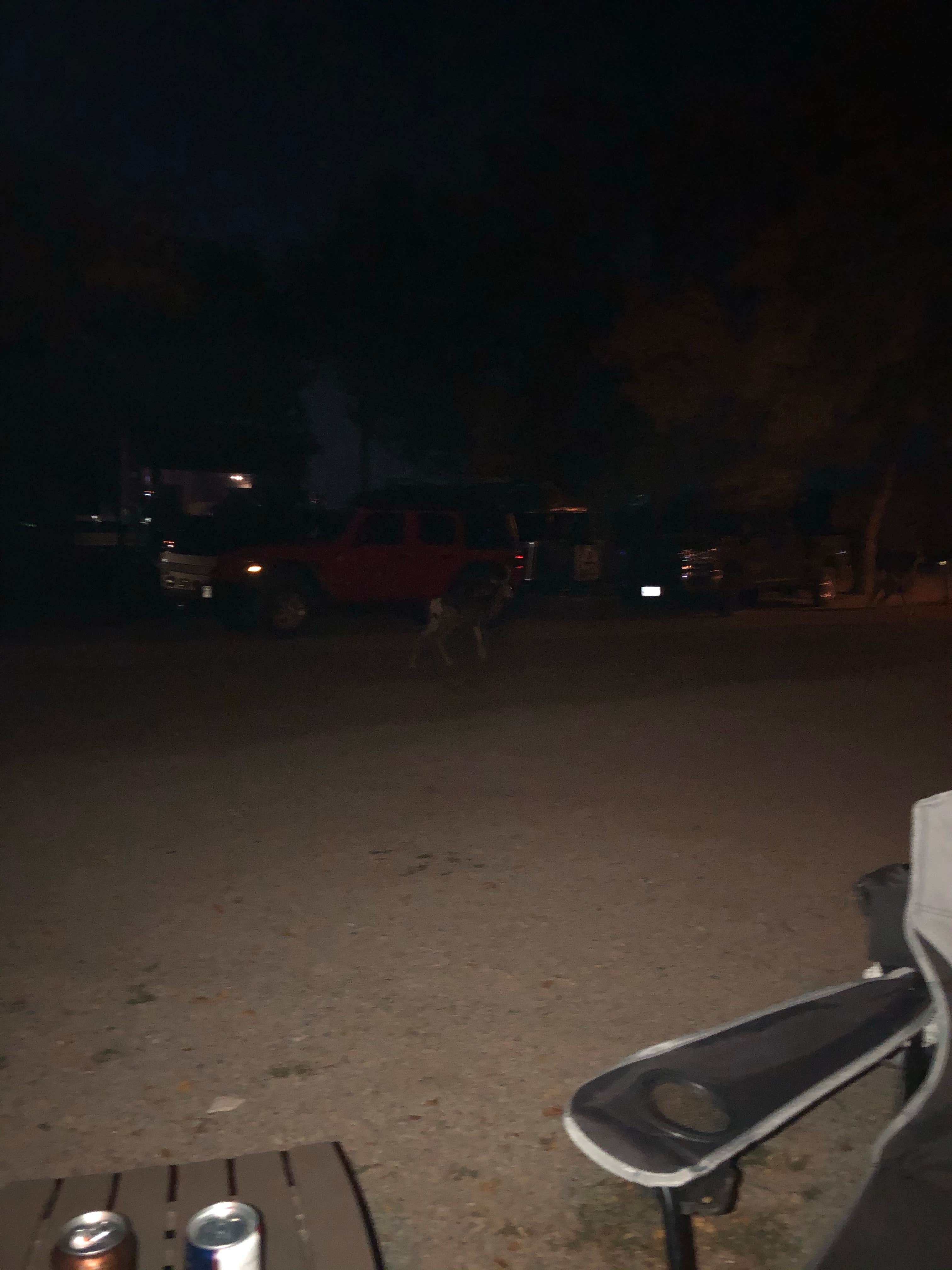 Camper submitted image from Westerner RV Park Campground - 5