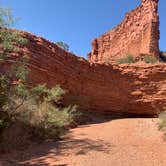 Review photo of South Prong Primitive Camping Area — Caprock Canyons State Park by Chris G., October 7, 2020