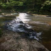 Review photo of David Crockett State Park Campground by Anthony C., October 7, 2020