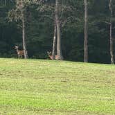 Review photo of David Crockett State Park Campground by Anthony C., October 7, 2020