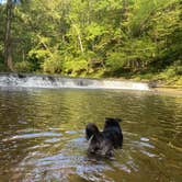 Review photo of David Crockett State Park Campground by Anthony C., October 7, 2020