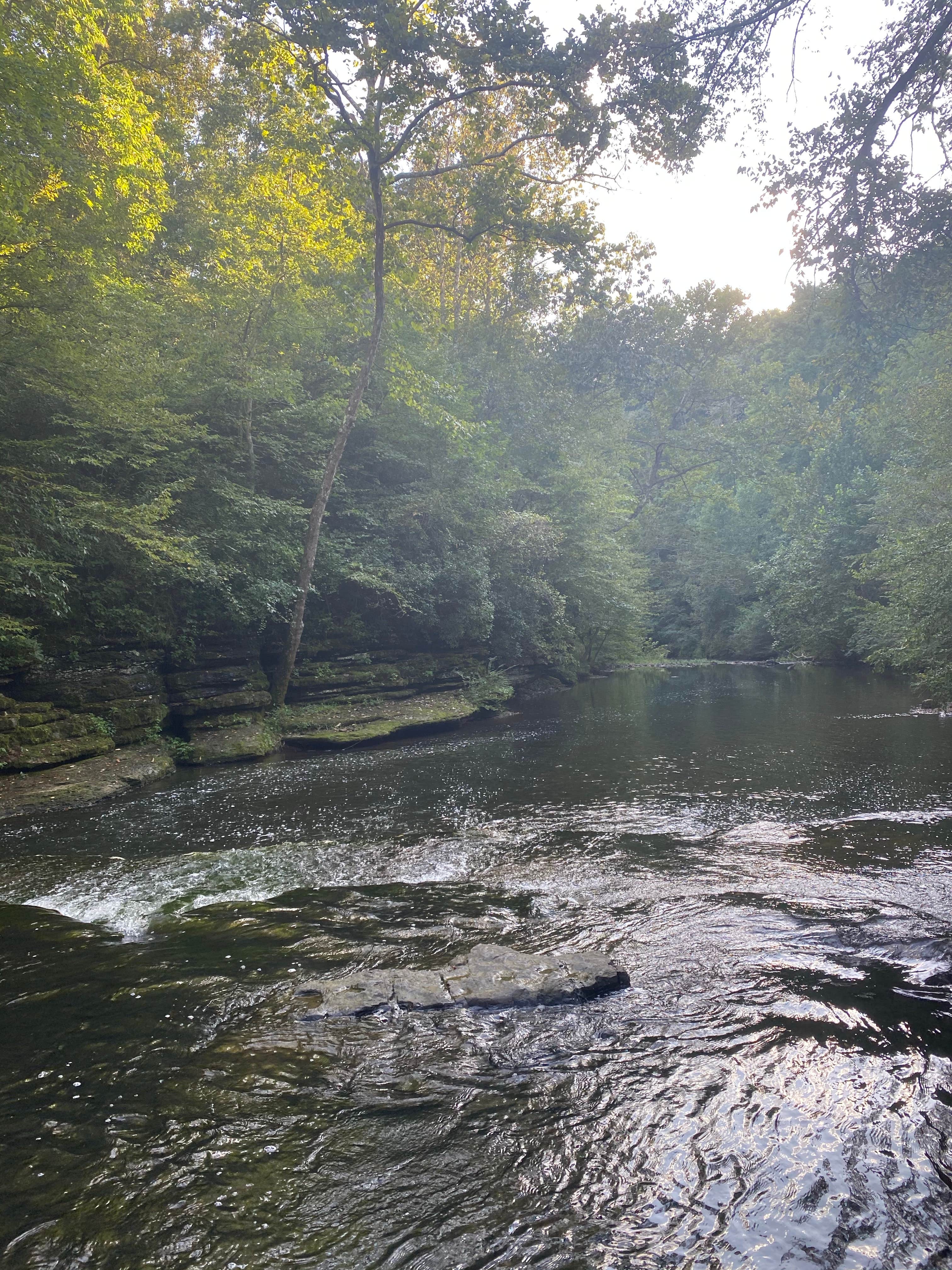 Camper-submitted photo at David Crockett State Park Campground near Natchez Trace Parkway