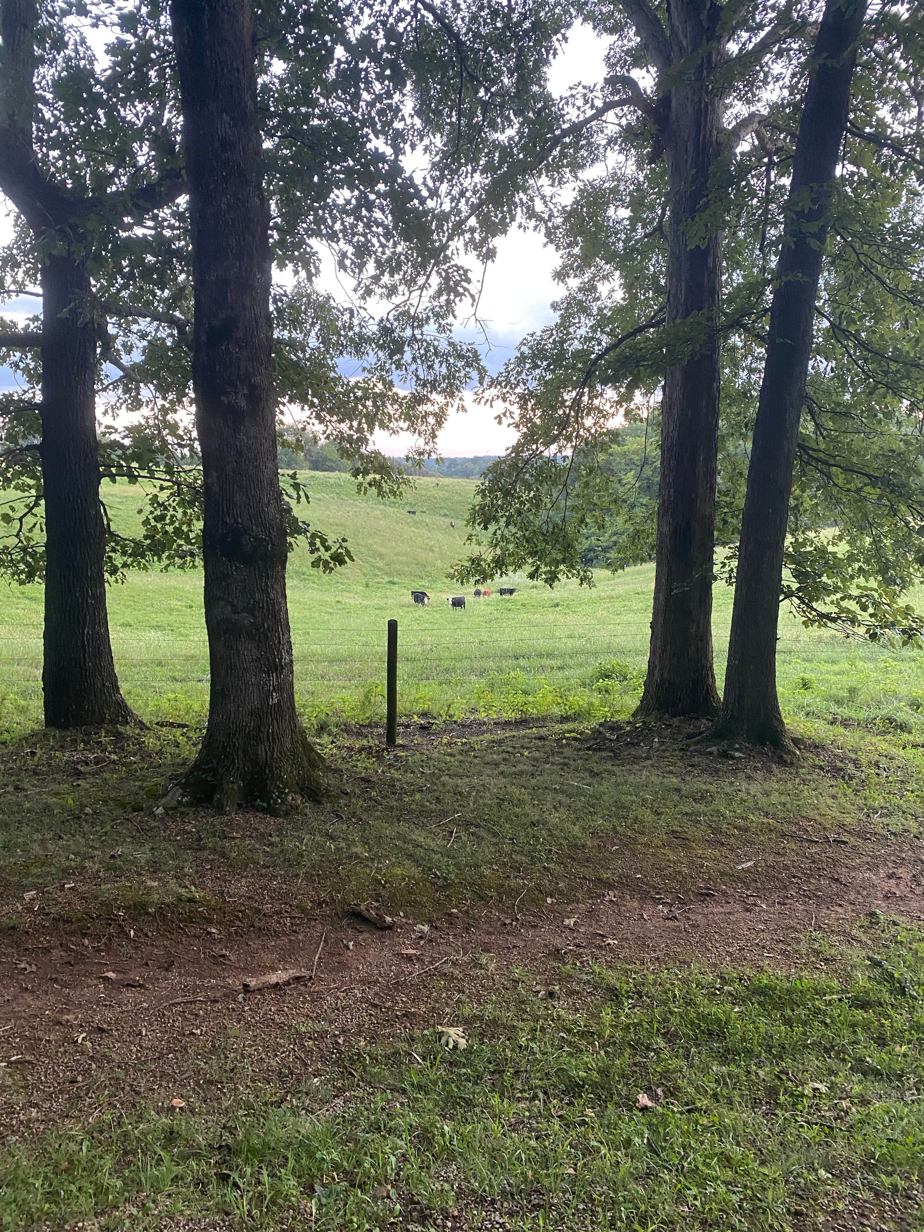 Camper-submitted photo at David Crockett State Park Campground near Natchez Trace Parkway