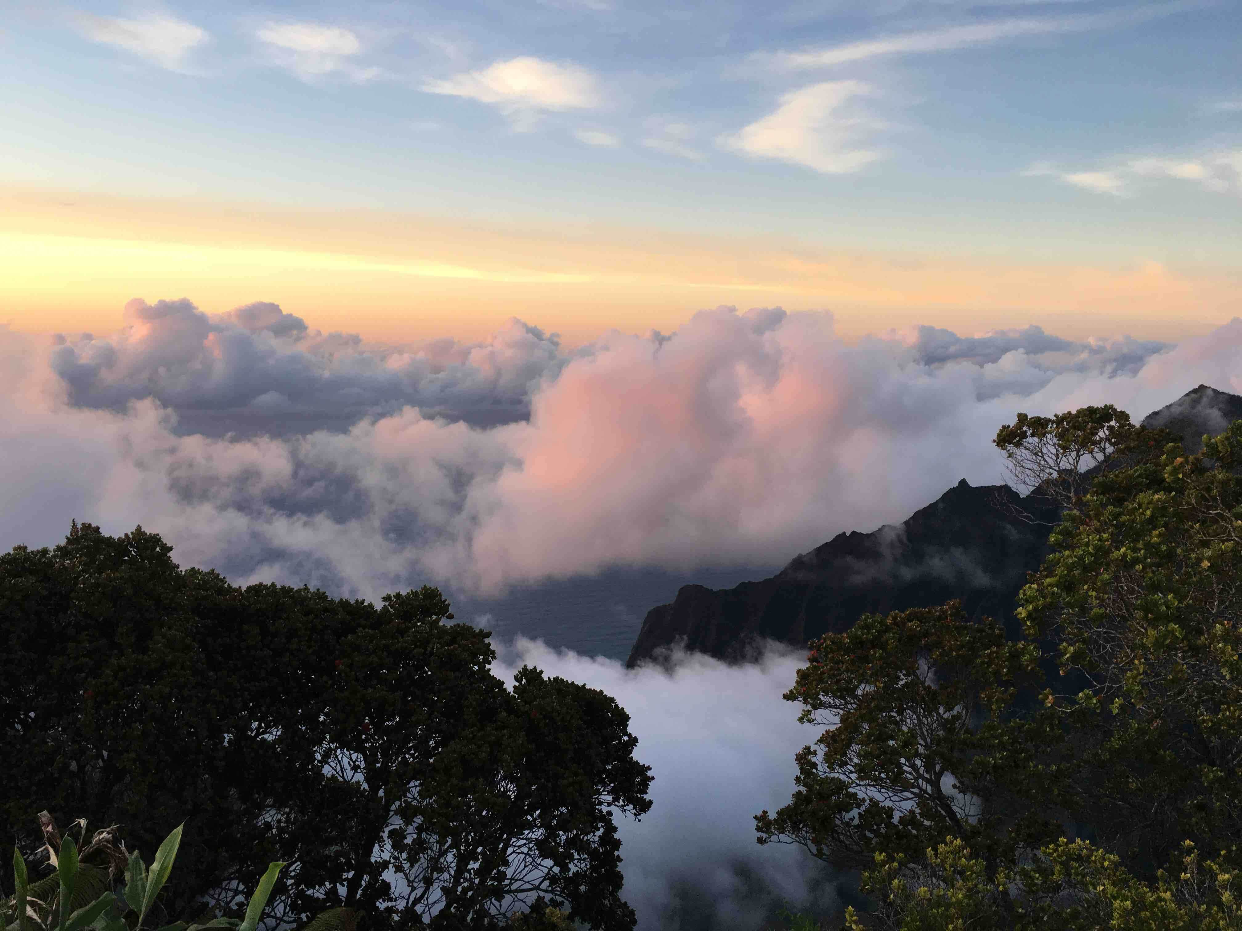 Camper submitted image from Kōkeʻe State Park Campground - 2