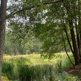 Review photo of Davy Crockett National Forest Ratcliff Lake Recreation Area by Heather B., October 7, 2020