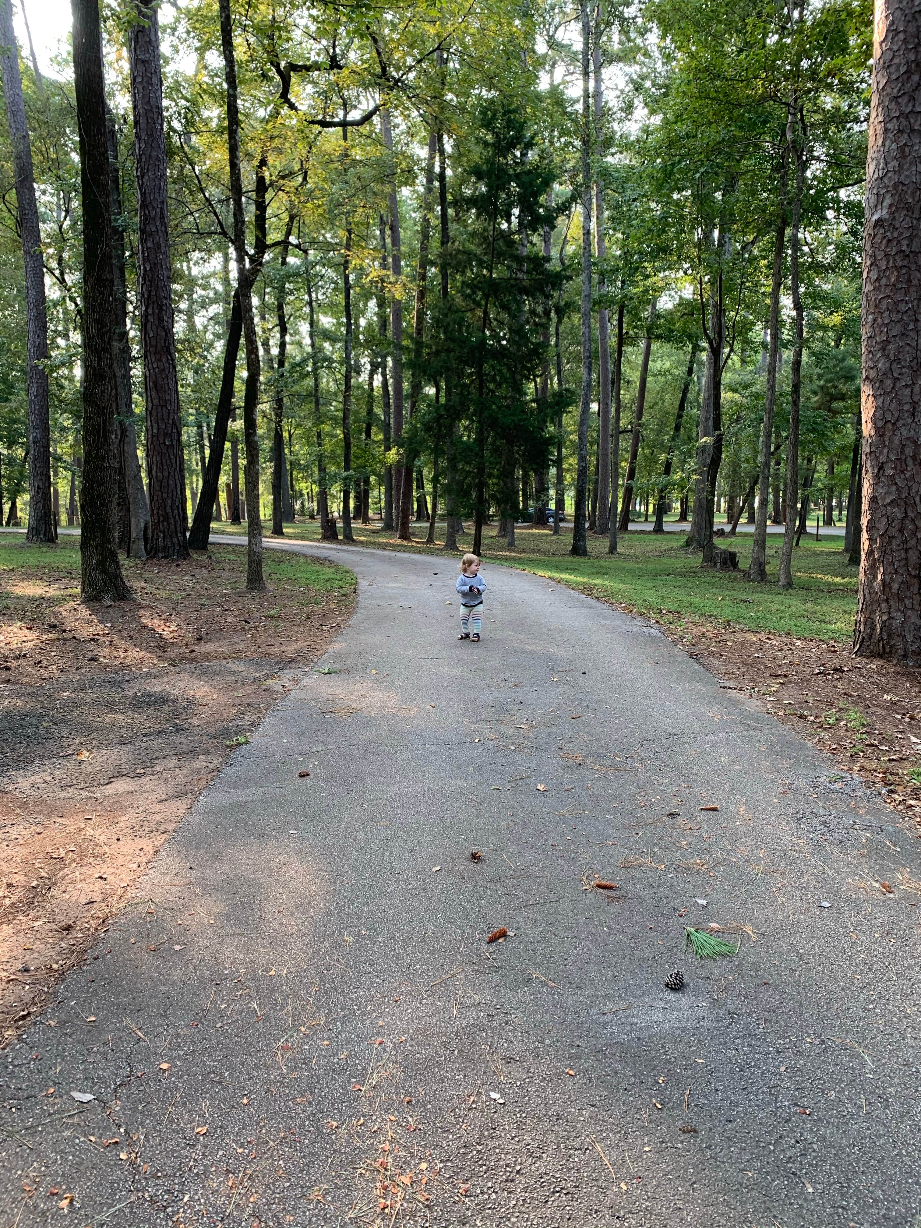 Camper submitted image from Davy Crockett National Forest Ratcliff Lake Recreation Area - 5