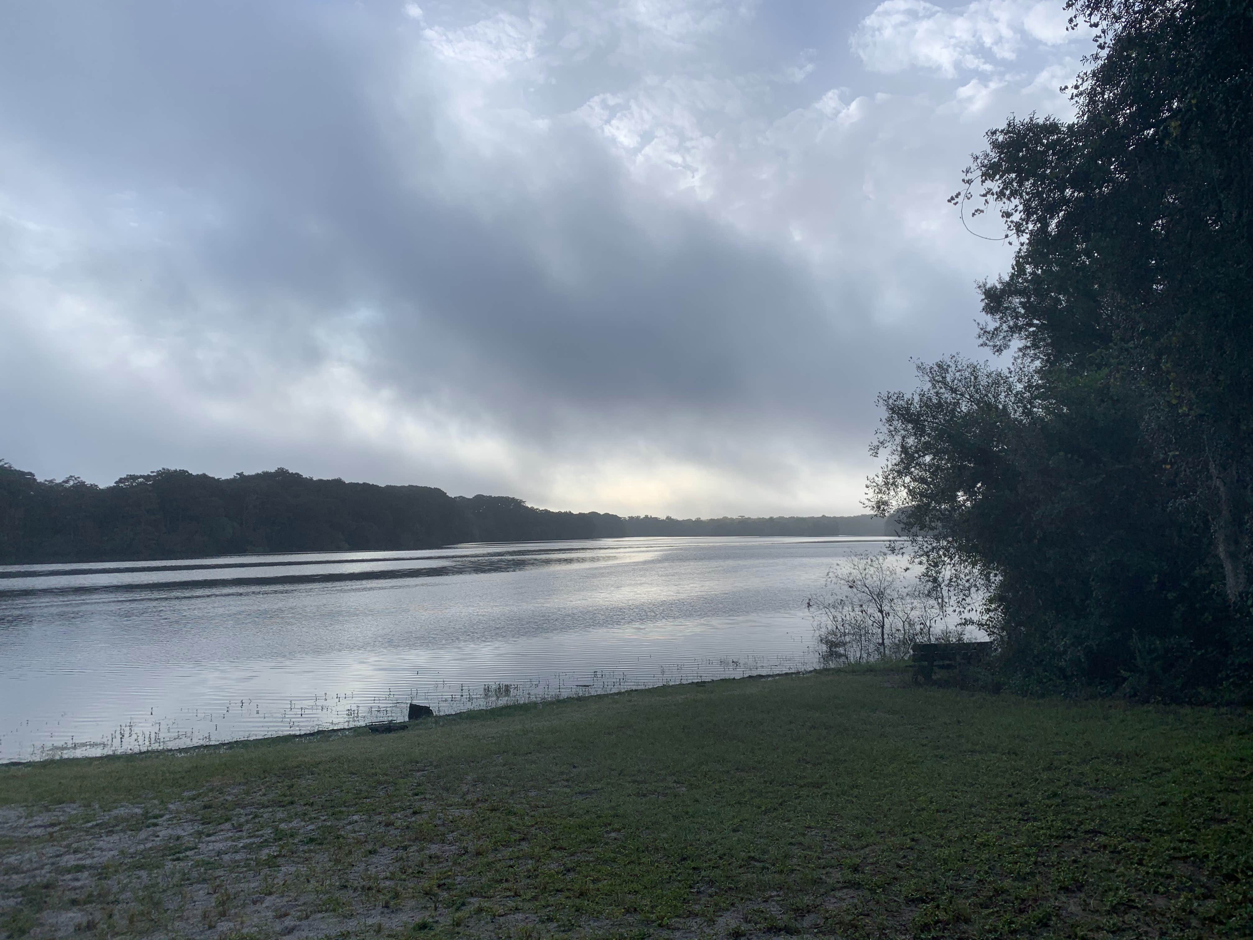 Camper submitted image from Silver Lake Campground — Withlacoochee State Forest - 5