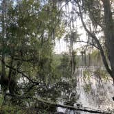 Review photo of Silver Lake Recreation Area by Laura M., October 7, 2020