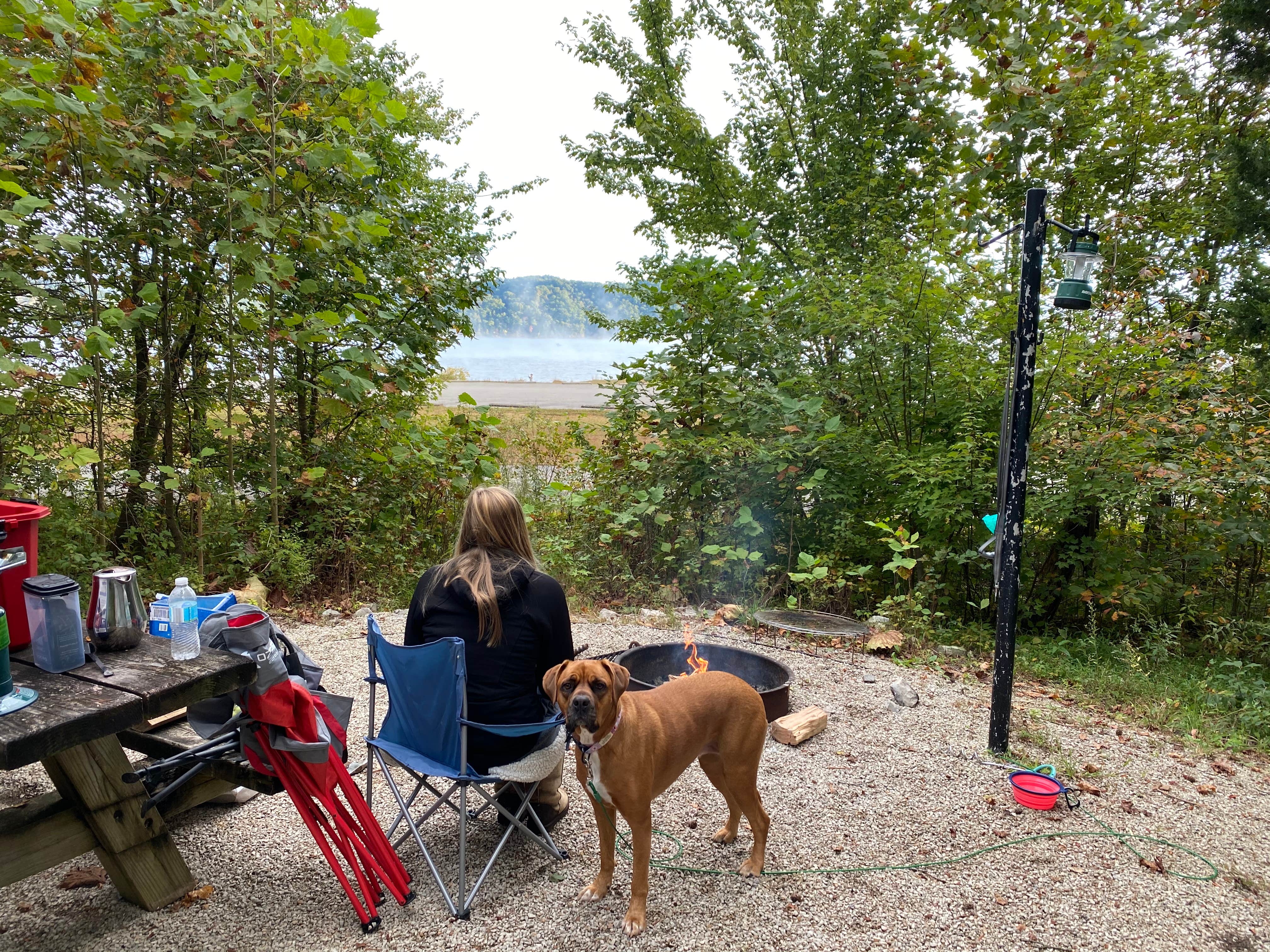 Vince B.'s photo of camping with pets at Zilpo Campground near Daniel Boone National Forest