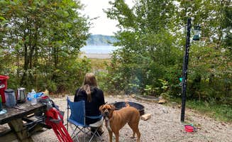 Vince B.'s photo of camping with pets at Zilpo Campground near Auxier, KY