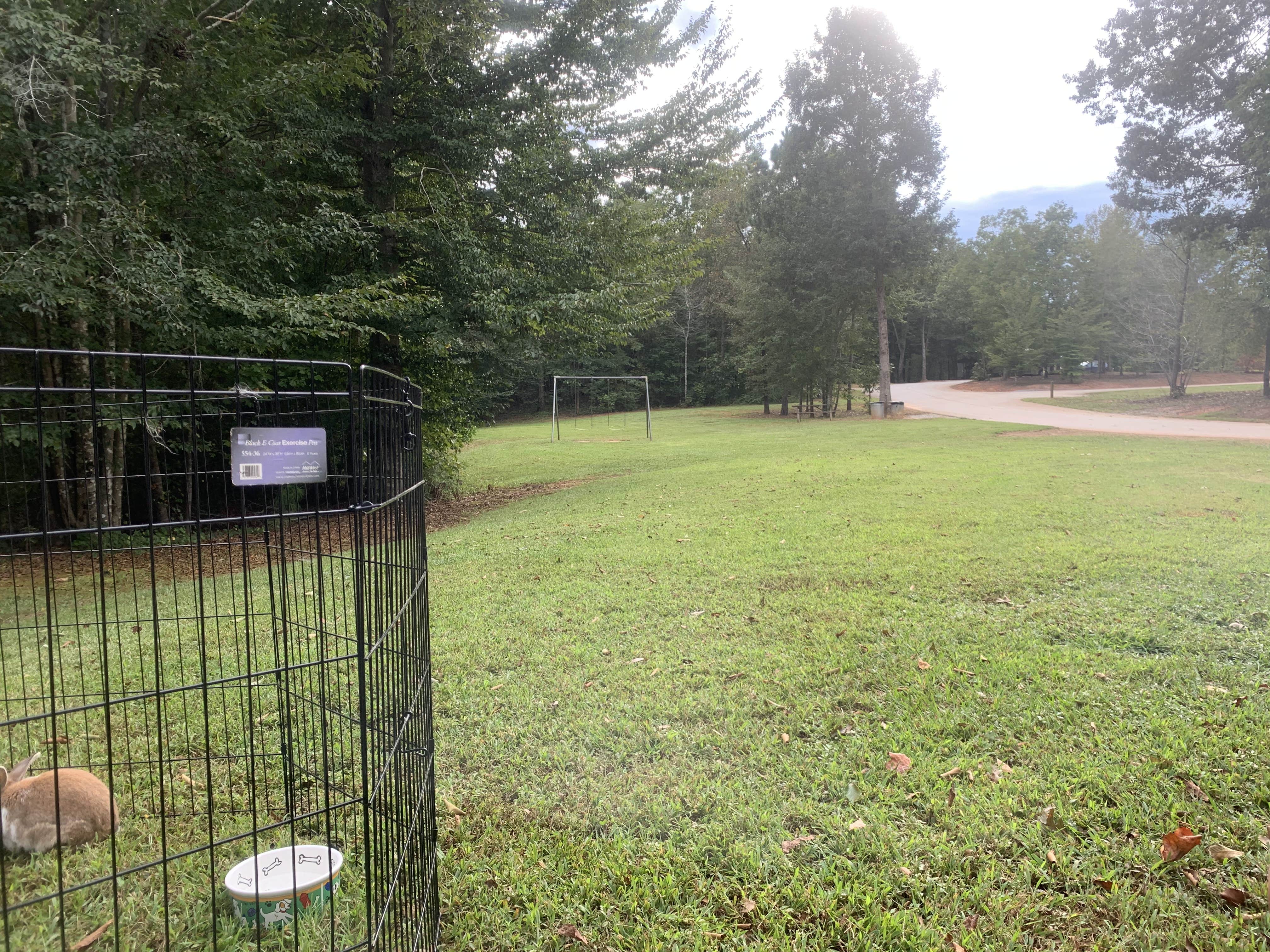 Camper submitted image from Little Tallapoosa Park - 1