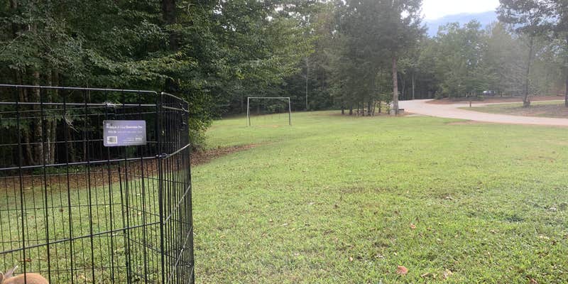 Camper submitted image from Little Tallapoosa Park