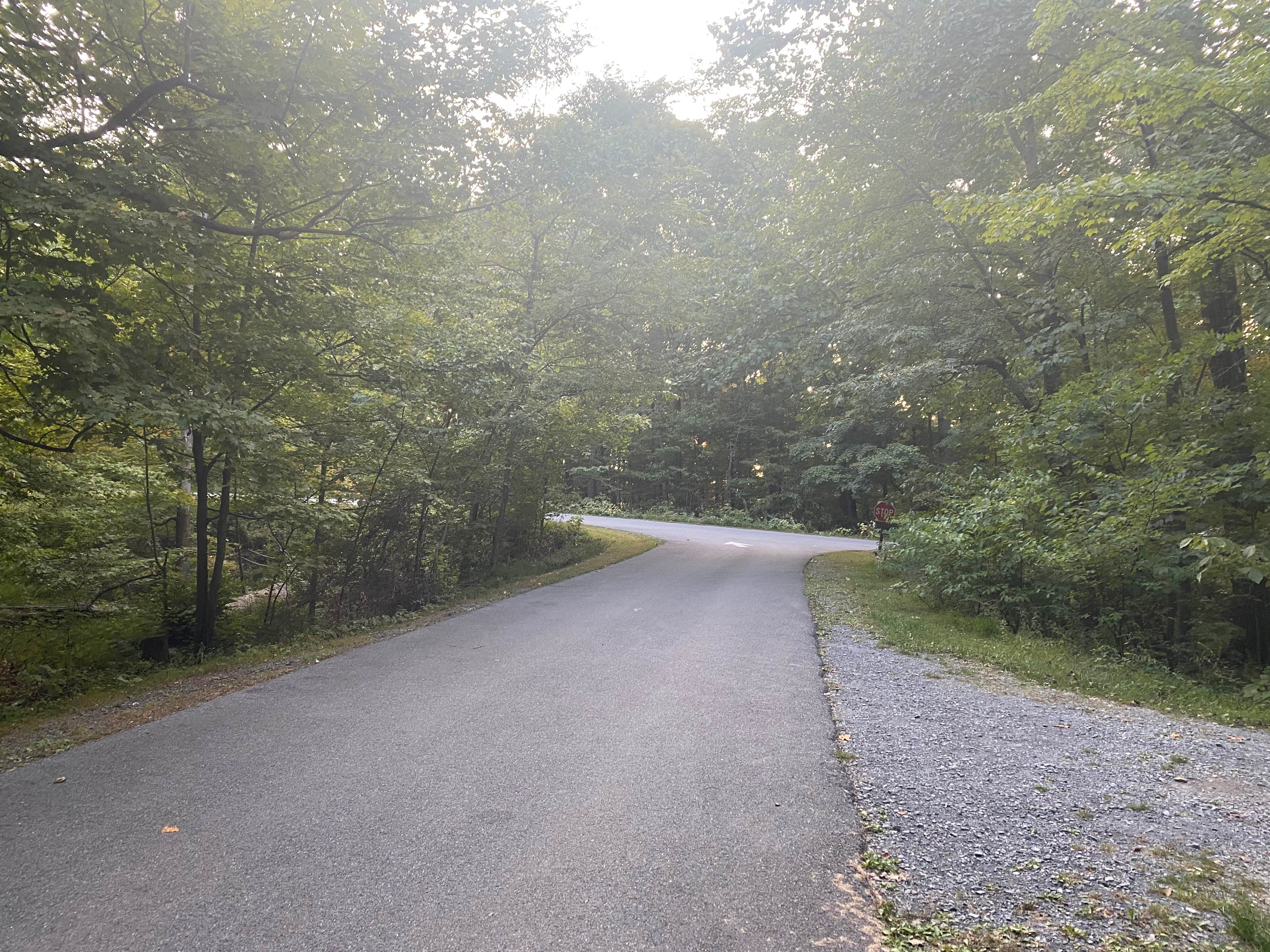 Camper-submitted photo at Houck - Cunningham Falls State Park near Rouzerville, PA