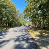 Review photo of Mammoth Cave Campground — Mammoth Cave National Park by Zachary C., October 7, 2020
