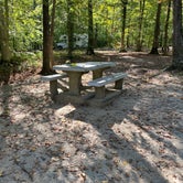 Review photo of Mammoth Cave Campground — Mammoth Cave National Park by Zachary C., October 7, 2020