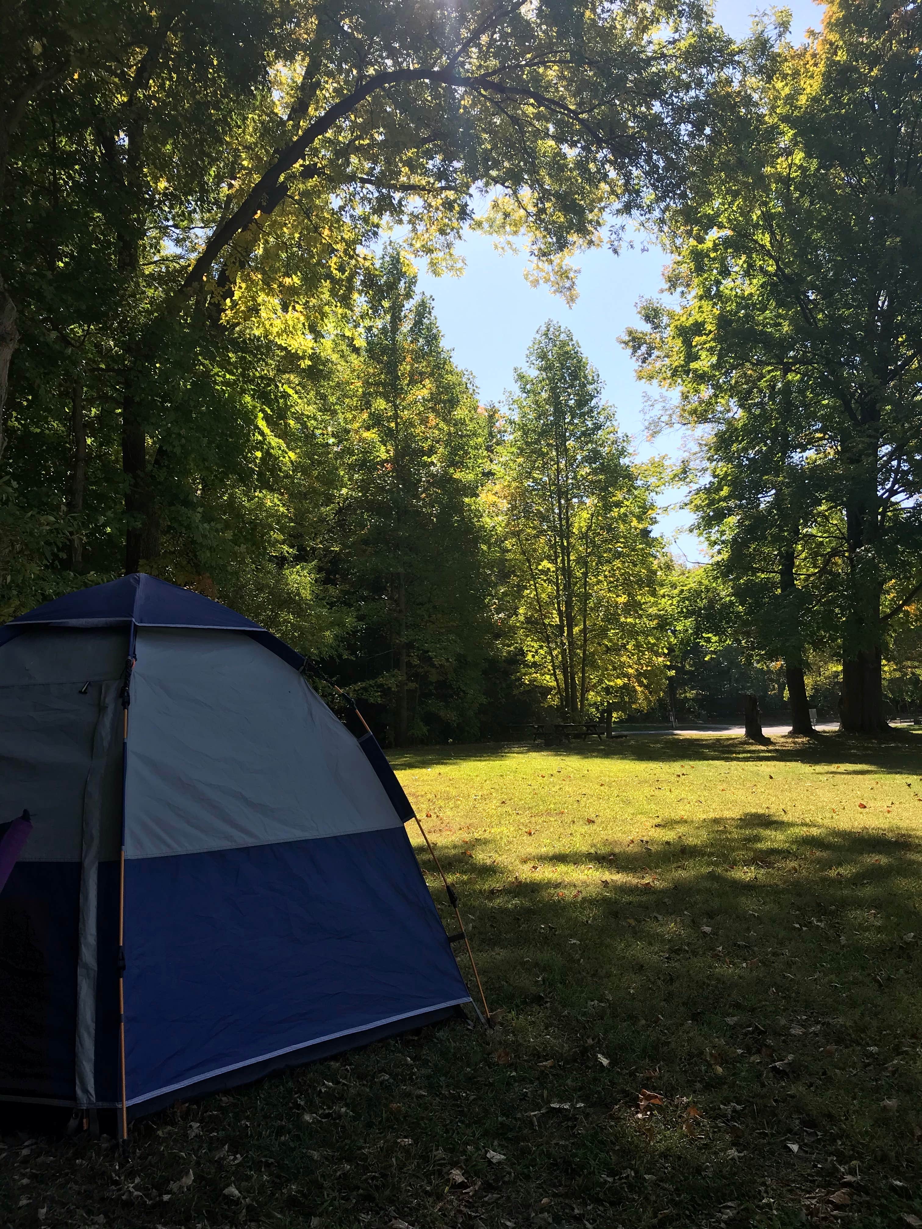 Stefanie Z.'s photo at Sand Creek Campground near Indiana Dunes National Park