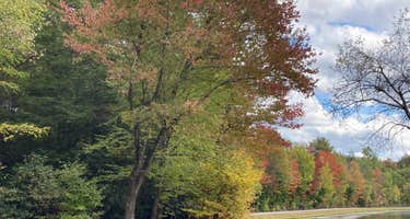 Yogi Bear's Jellystone Park at Birchwood Acres