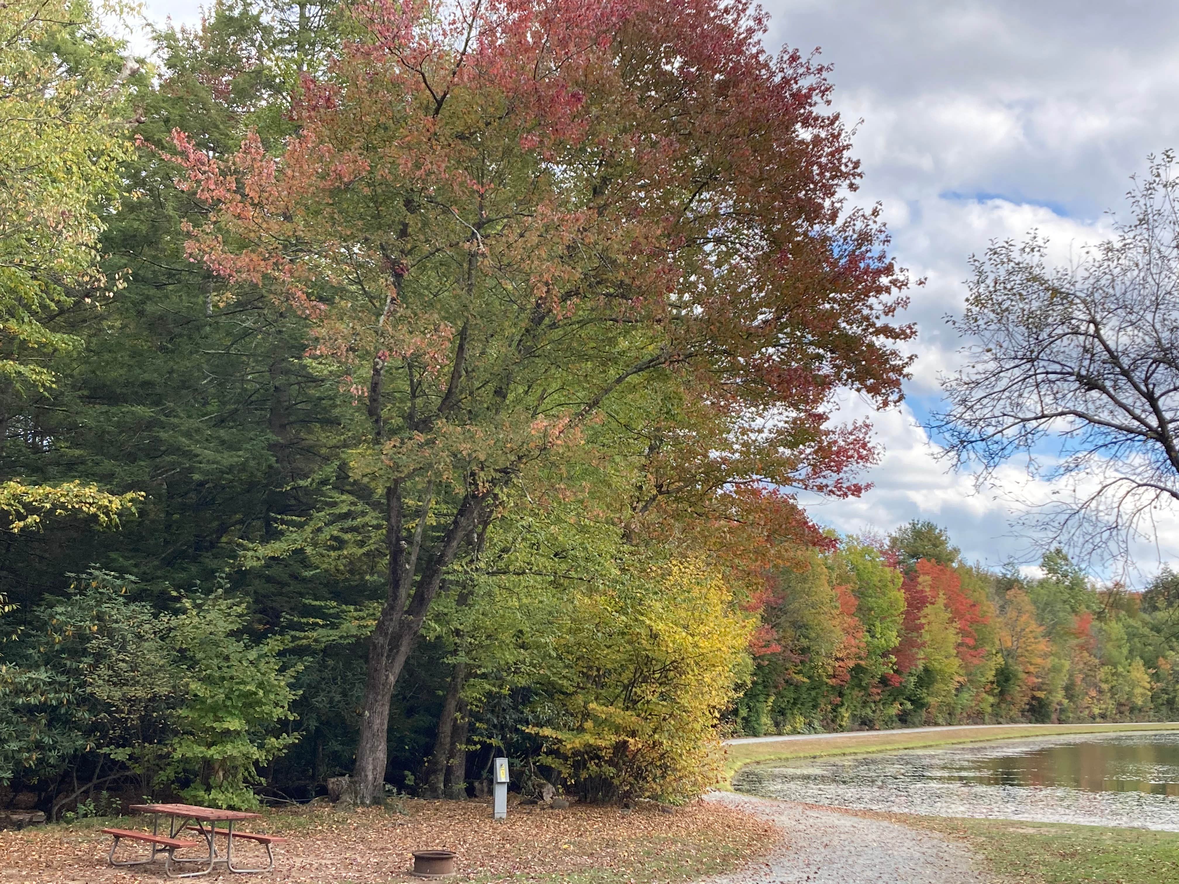 Camper submitted image from Yogi Bear's Jellystone Park at Birchwood Acres - 1