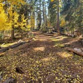 Review photo of Rio De Las Vacas Campground by Sean L., October 7, 2020