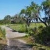Review photo of Skidaway Island State Park Campground by Sandra H., October 7, 2020