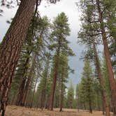 Review photo of Butte Lake Campground — Lassen Volcanic National Park by Patricia O., May 20, 2018