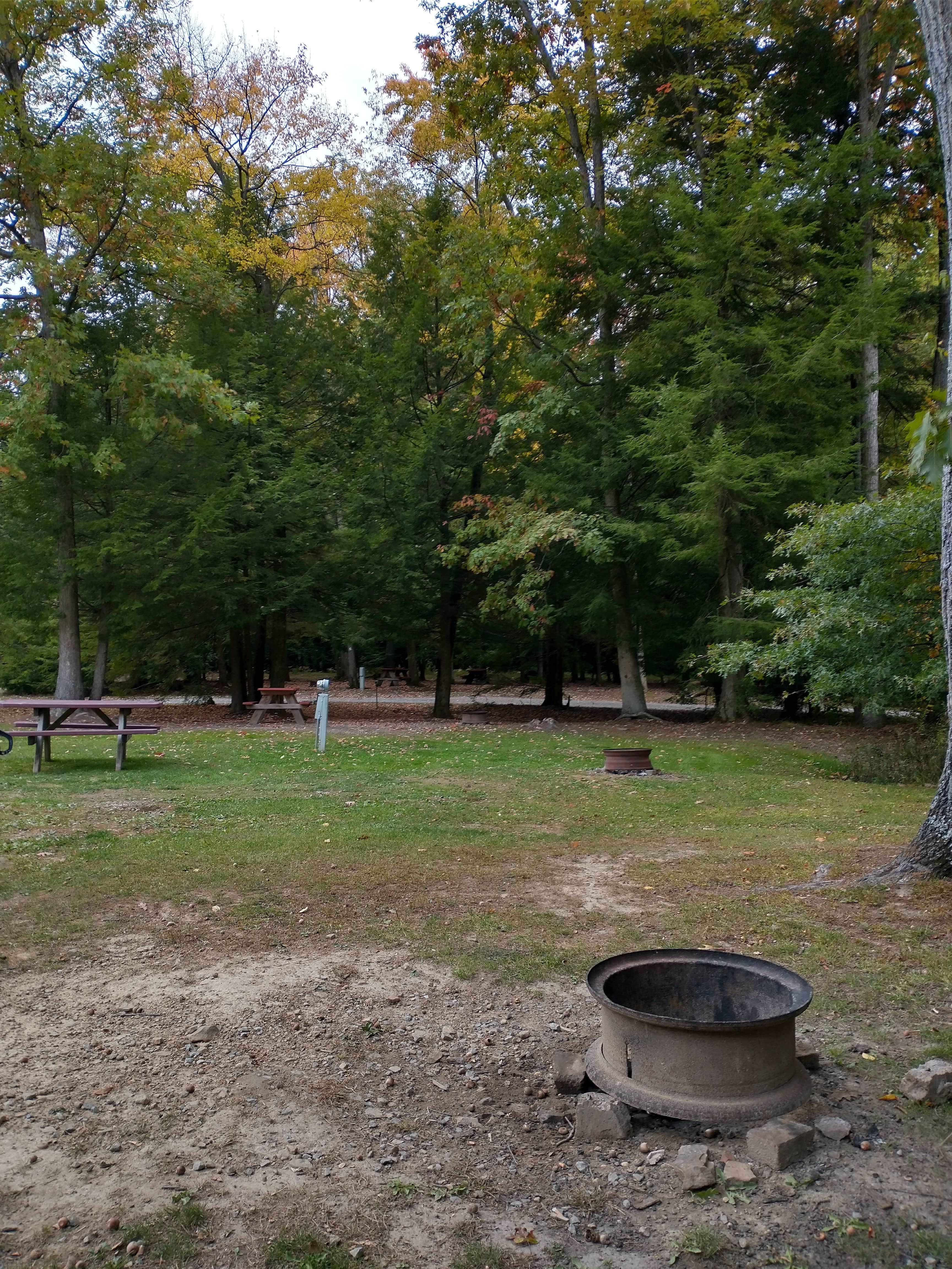 Camper-submitted photo at White's Haven Campground and Cabins near Marienville, PA