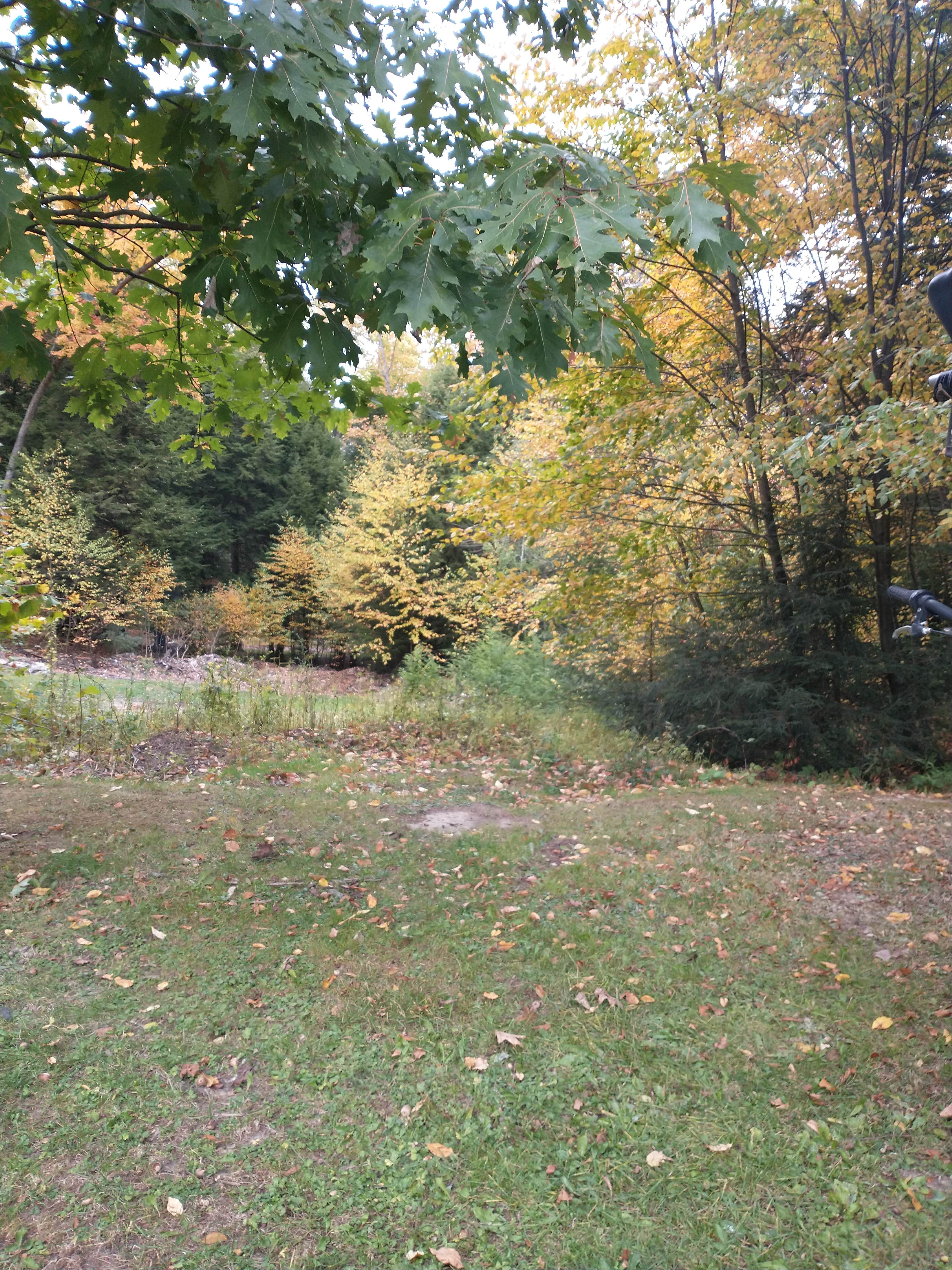 Camper-submitted photo at White's Haven Campground and Cabins near Marienville, PA