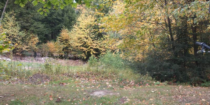 Camper submitted image from White's Haven Campground and Cabins