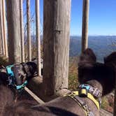 Review photo of Cosby Campground — Great Smoky Mountains National Park by Shelly S., July 9, 2016