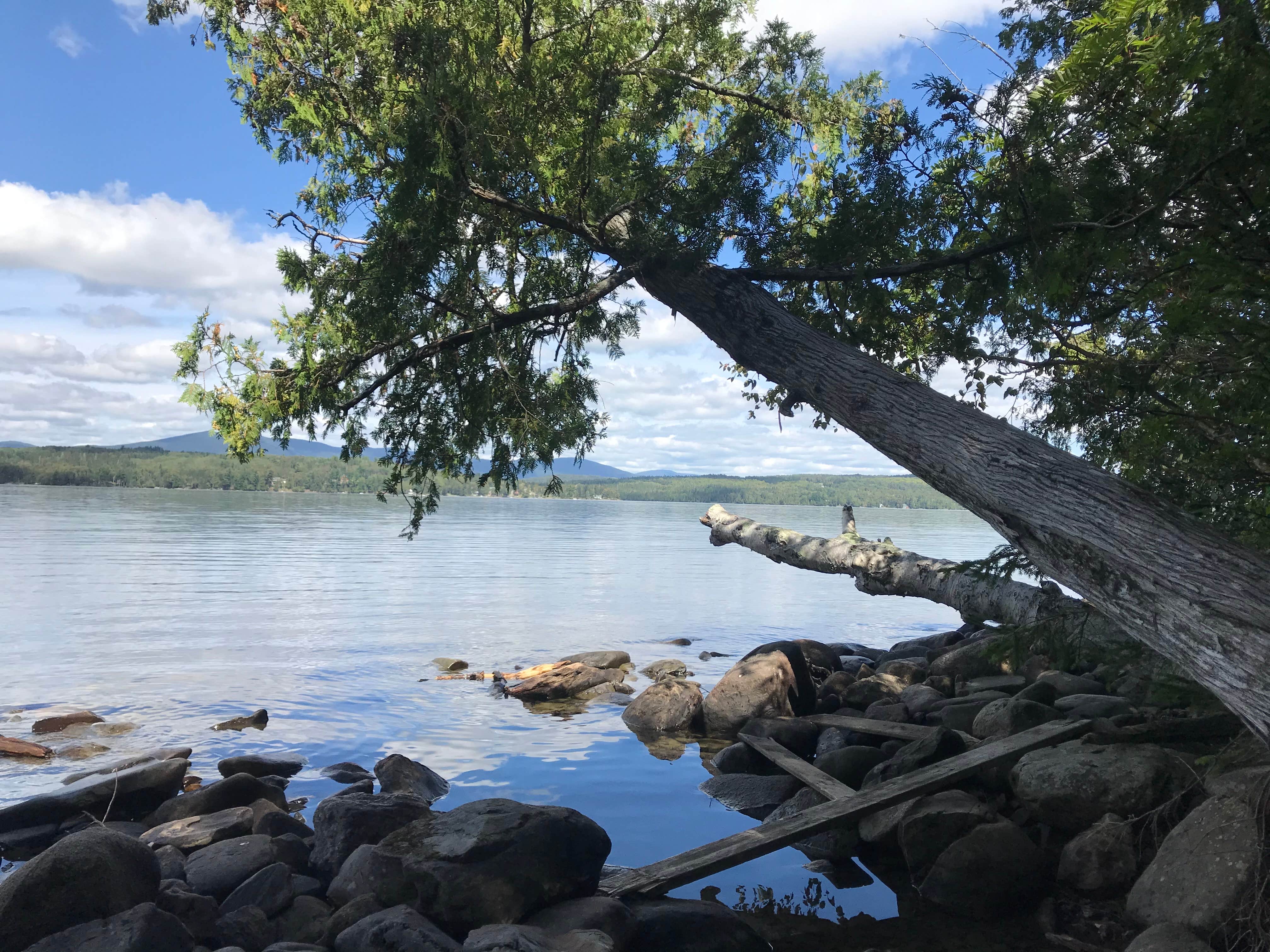 Camper submitted image from Rangeley Lake State Park Campground - 1