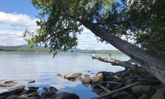 Camping near Mount Blue State Park Campground: Rangeley Lake State Park Campground, Rangeley, Maine