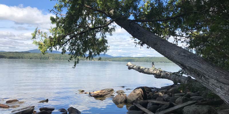 Camper submitted image from Rangeley Lake State Park Campground