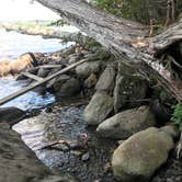 Review photo of Rangeley Lake State Park Campground by Thornton B., October 7, 2020