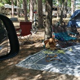 Review photo of Traverse City State Park Campground by Stu E., October 7, 2020