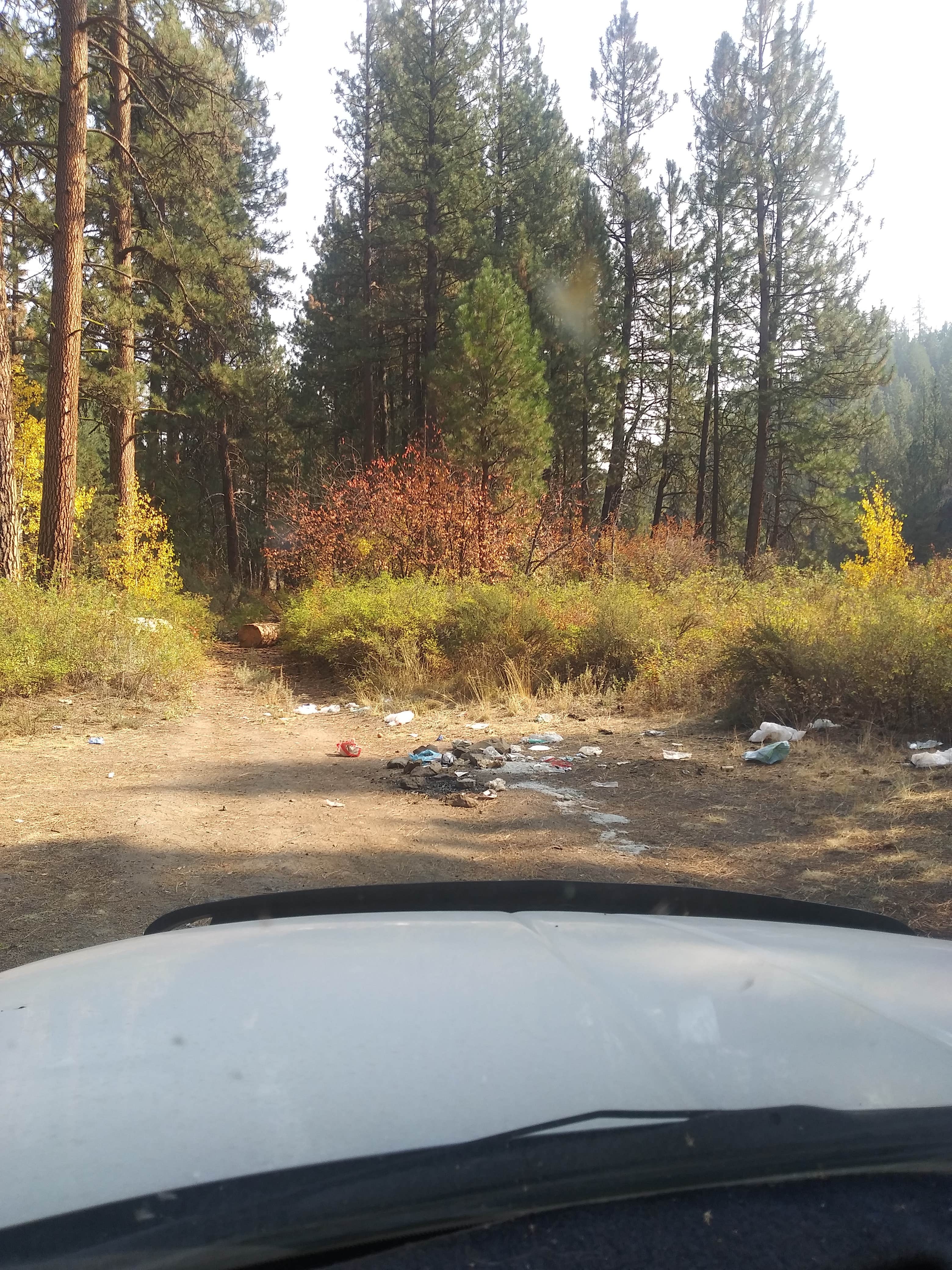 Area trashed that was a camp site
