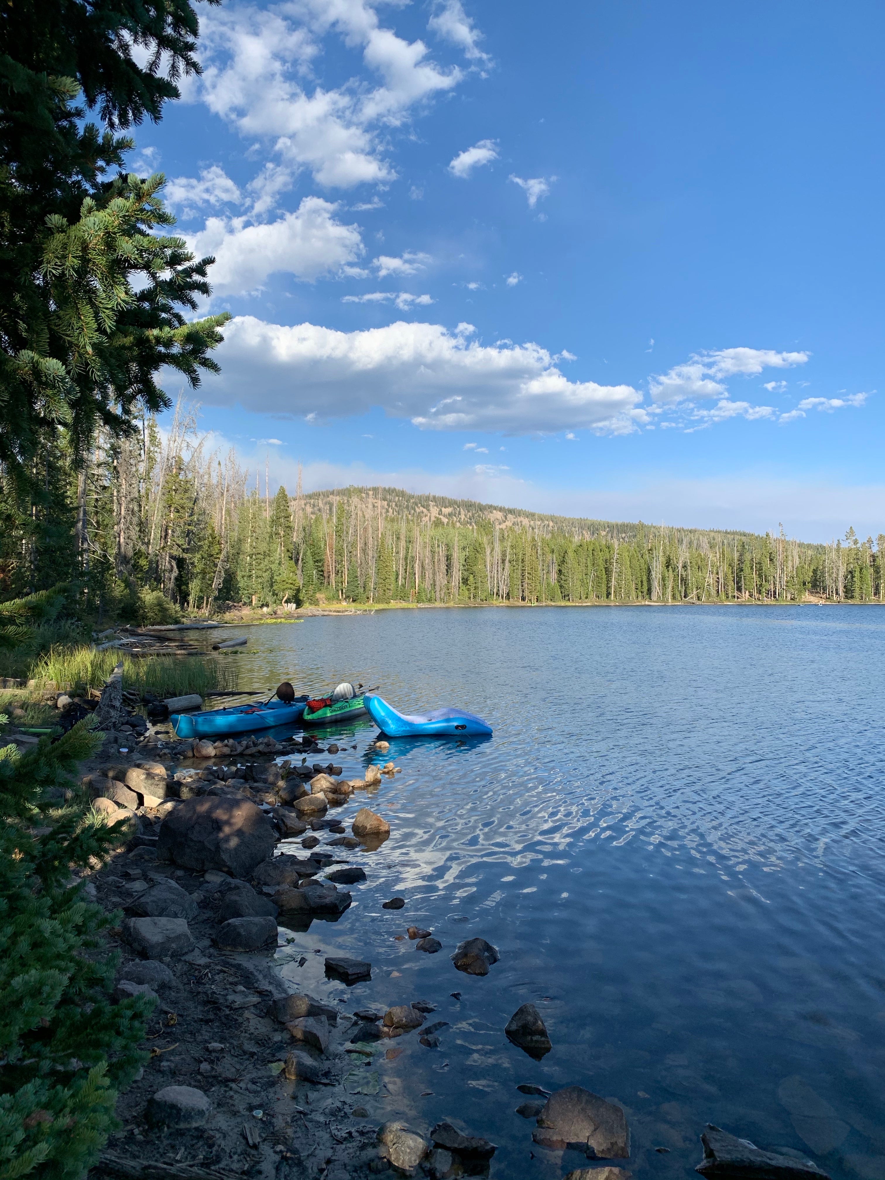 Camper submitted image from Alexander Lake Backcountry - 2
