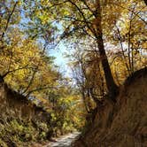 Review photo of Ash Grove Campground — Indian Cave State Park by Molly M., May 20, 2018