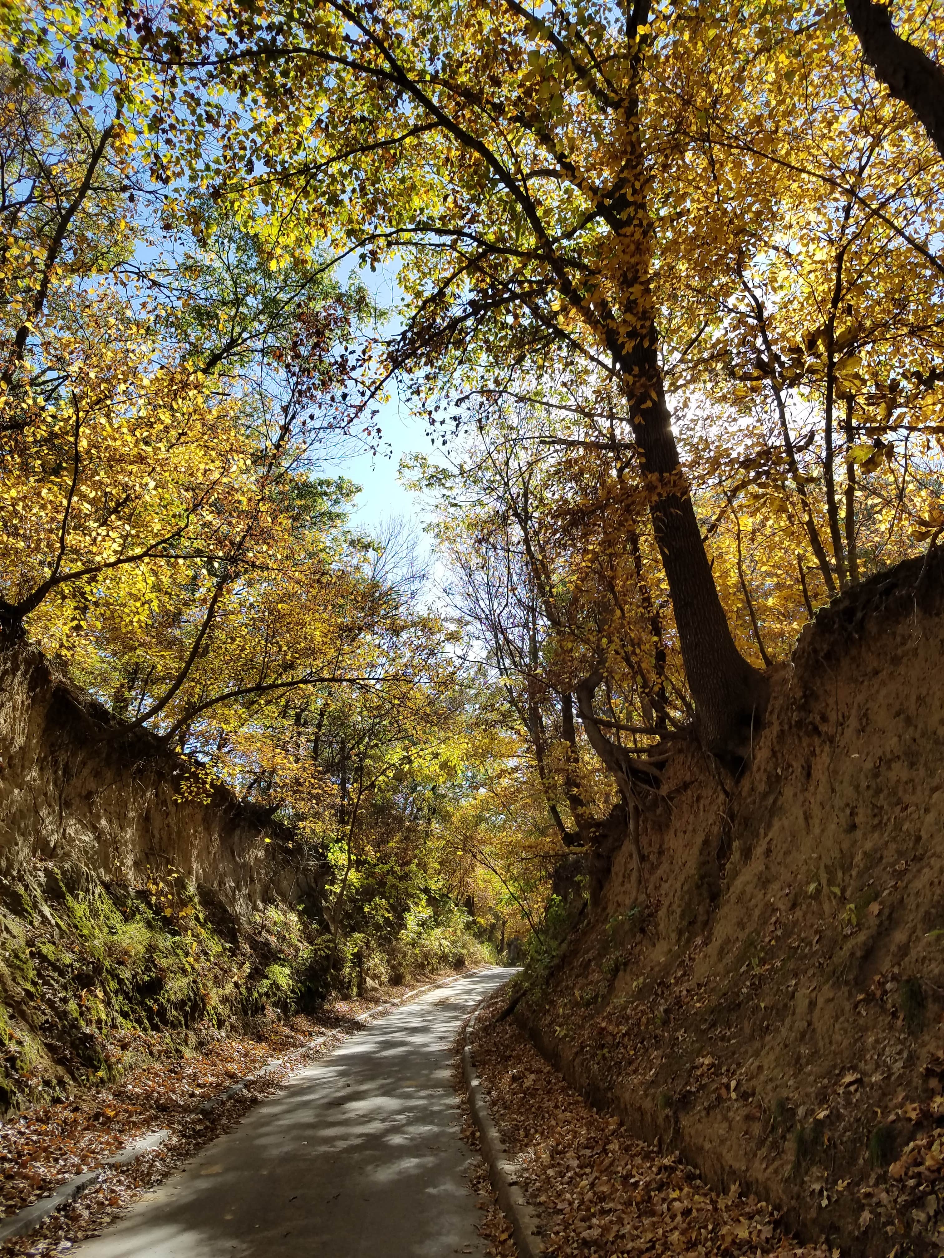 Camper submitted image from Ash Grove Campground — Indian Cave State Park - 4