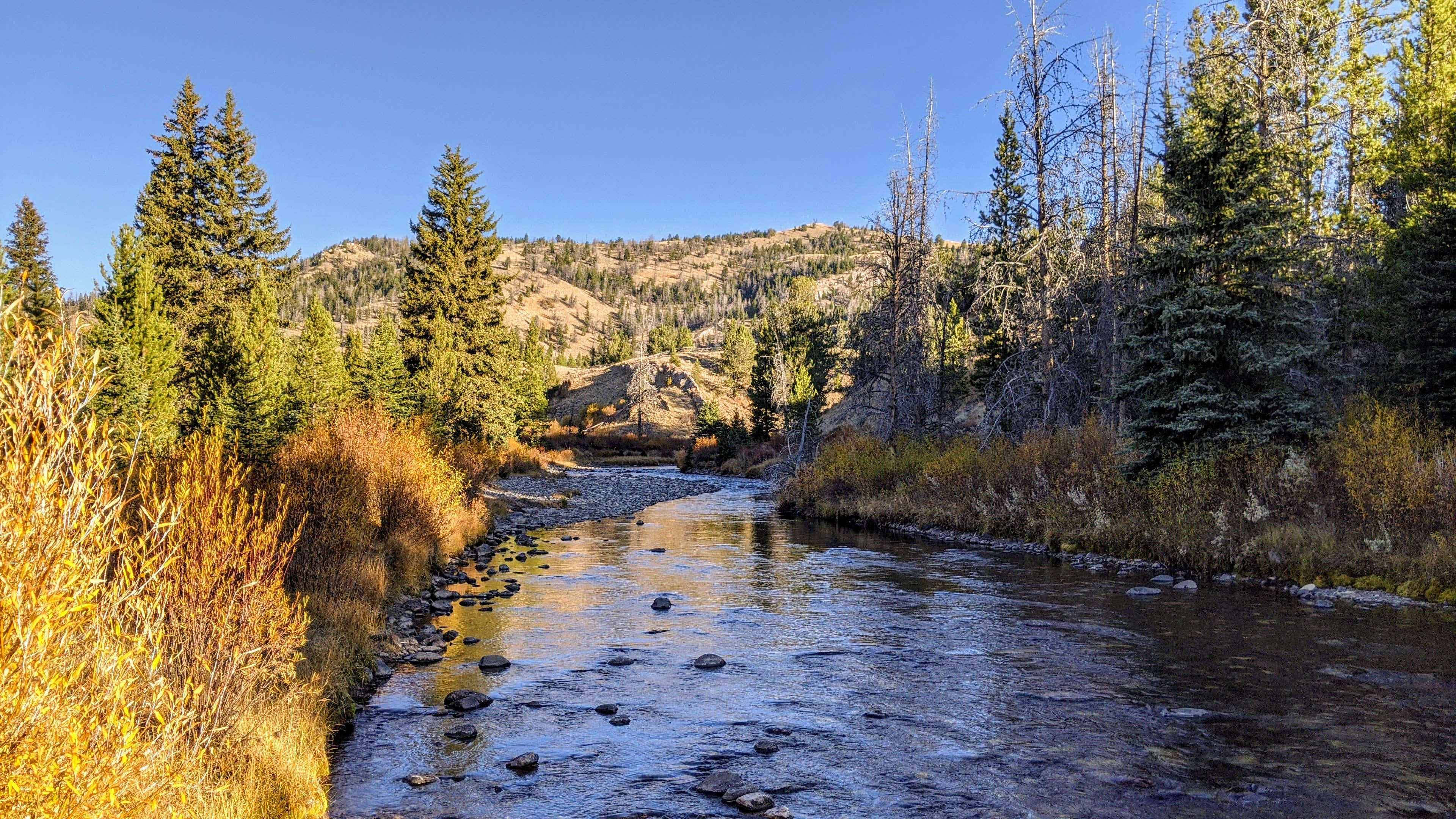 Camper-submitted photo at Horse Creek Campground near Dubois, WY