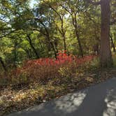 Review photo of Ash Grove Campground — Indian Cave State Park by Molly M., May 20, 2018