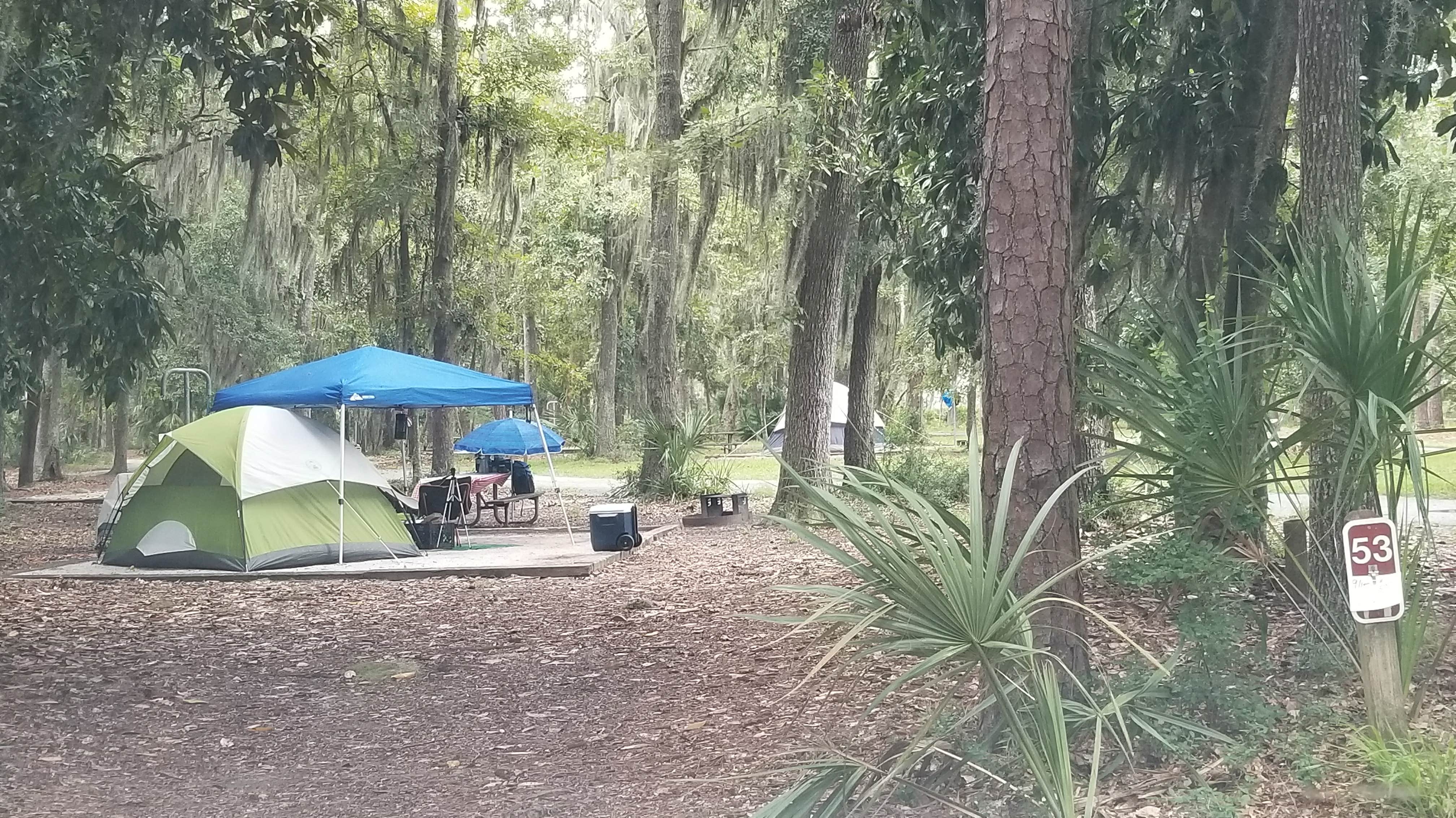 L O.'s photo at Fort McAllister State Park Campground near Port Wentworth, GA